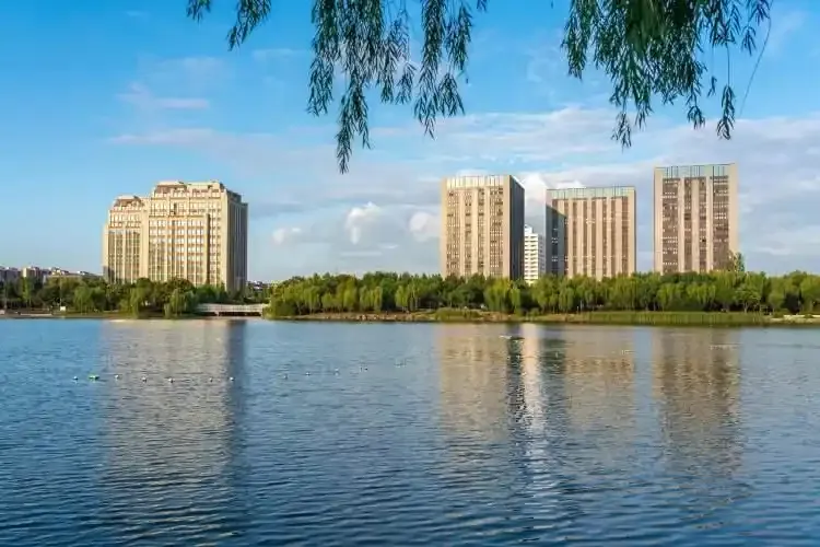 Click image for larger version

Name:	2e2eb9389b504fc2f7a31beae5f9220191ef6d11.webp
Views:	16
Size:	46.1 KB
ID:	339